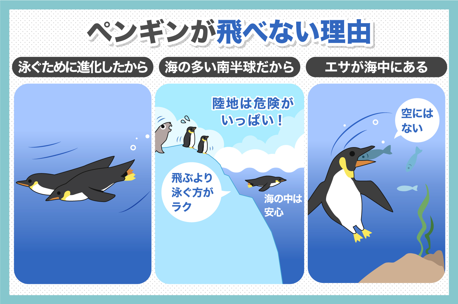 ペンギンが飛べない理由についてやさしく解説します！